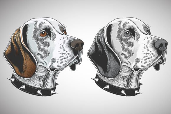 Download Abstract Bloodhound Dog Portrait - Abstract Collection