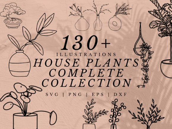 Download 130+ House Plant Illustration SVGs - Illustration Collection